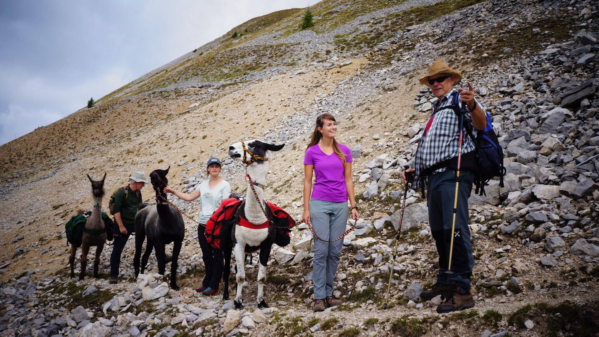 Lama-Trekking im Gailtal