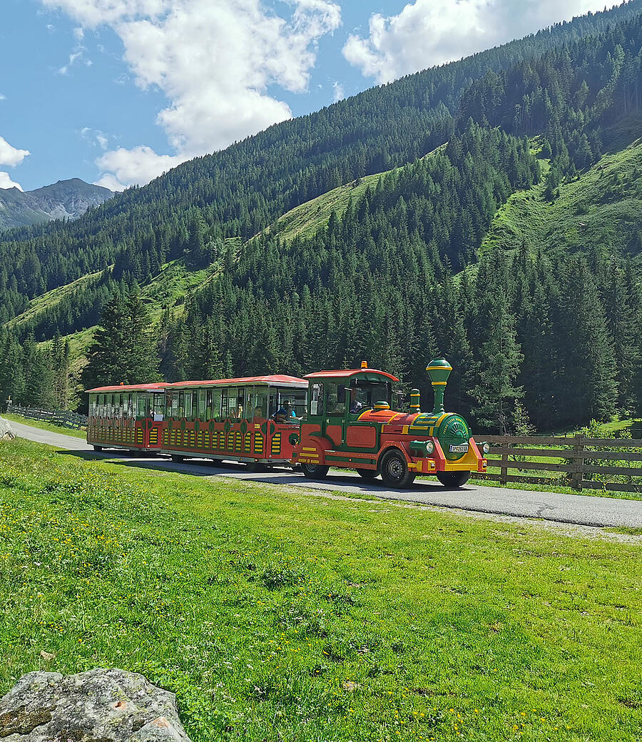 E-Tschu-Tschu-Bahn Poellatal