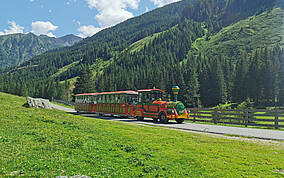 E-Tschu-Tschu-Bahn Poellatal