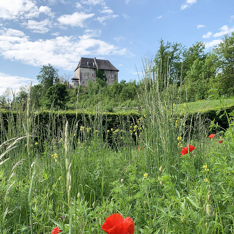 Schloss Moosburg c Kosmopoetin 