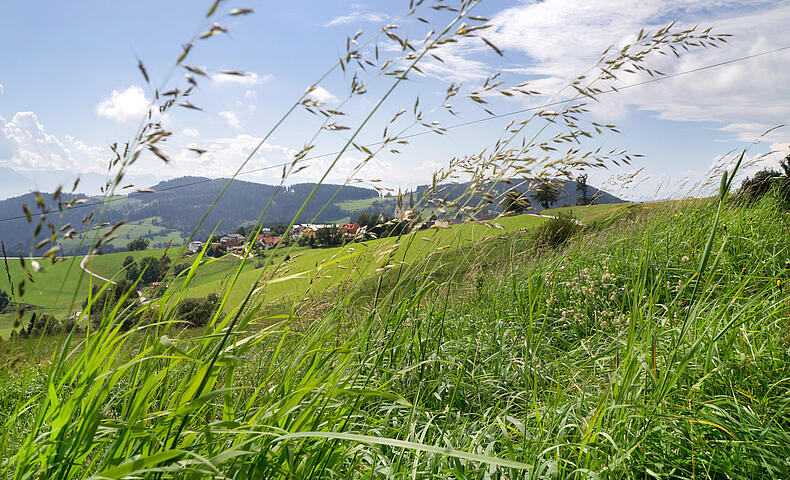 Blick auf Diex
