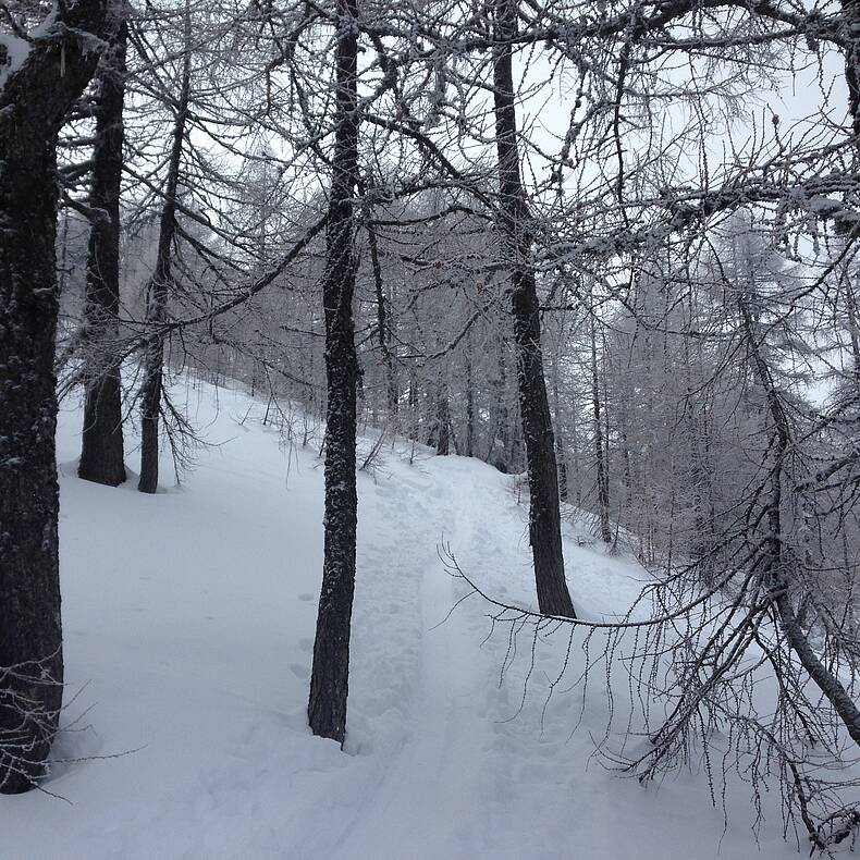 Dobratsch Skitour von Heiligengeist