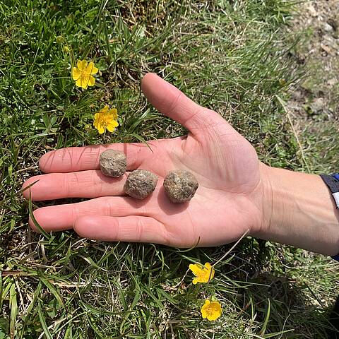 Alpe-Adria-Trail Etappe 13 Granatsteine