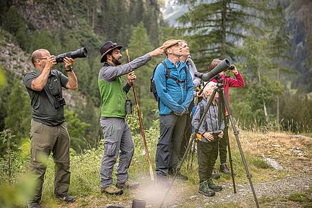 Wildtierbeobachtung entlang des Tauernh&ouml;henweges