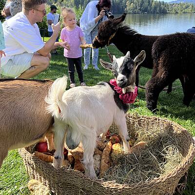 Herbstreigen Maltschacher See
