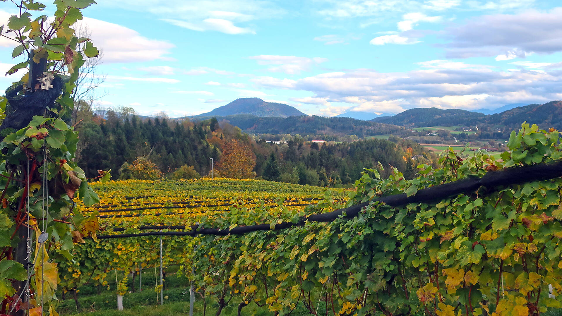 J. Kreulitsch Wein auf der Burg Glanegg