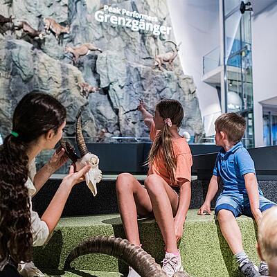 Kinder und Erwachsene in der interaktiven Ausstellung „Der König und sein Thron“ im Haus der Steinböcke in Heiligenblut, mit Blick auf eine Felswand mit lebensgroßen Steinbockmodellen.
