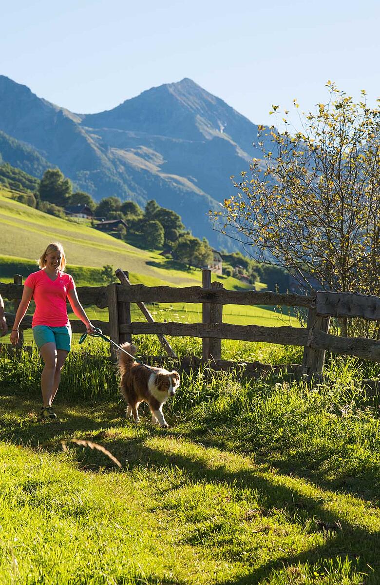 Natur Aktiv NPHT Wandern mit Hund
