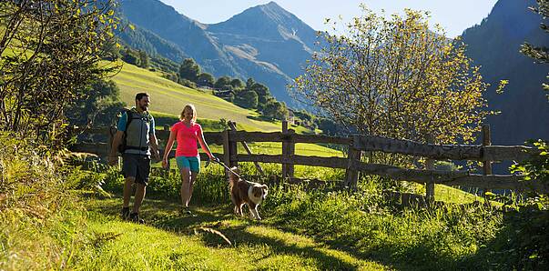 Natur Aktiv NPHT Wandern mit Hund