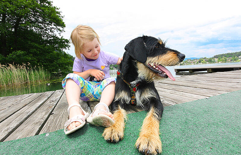 Urlaub Mit Kind Und Hund Urlaub In Karnten
