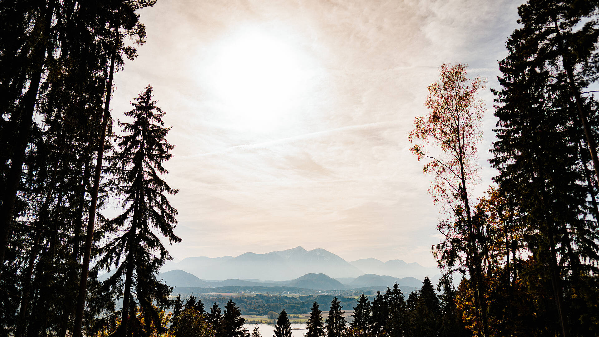 Landschaft Herbst Wald Klopeiner See - Südkärnten