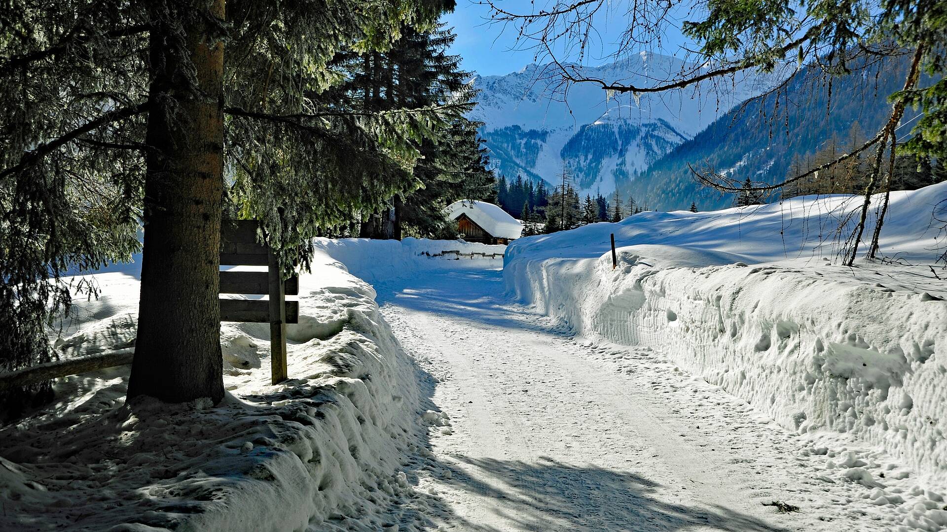 Winterwandern Seebach 