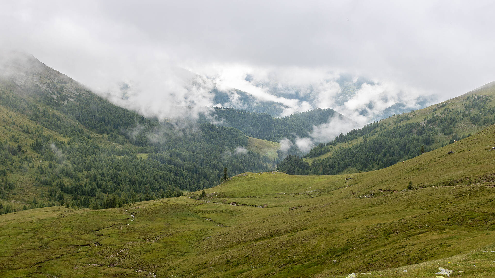 Perfekter Sommertag in Kaernten - Nockalmgebiet