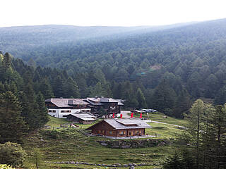 Langalmtal-Almstraße: Von Kaning/Radenthein bis ins Langalmtal; Hütten: Aichholzerhütte, Erlacherhaus, Erlacher Bockhütte, Petonighütte, Winklerhütte, Veidlhütte | Geöffnet bis 31. Oktober (witterungsabhängig)