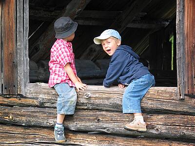 Hochalmblick_Kinder machen Urlaub am Bauernhof