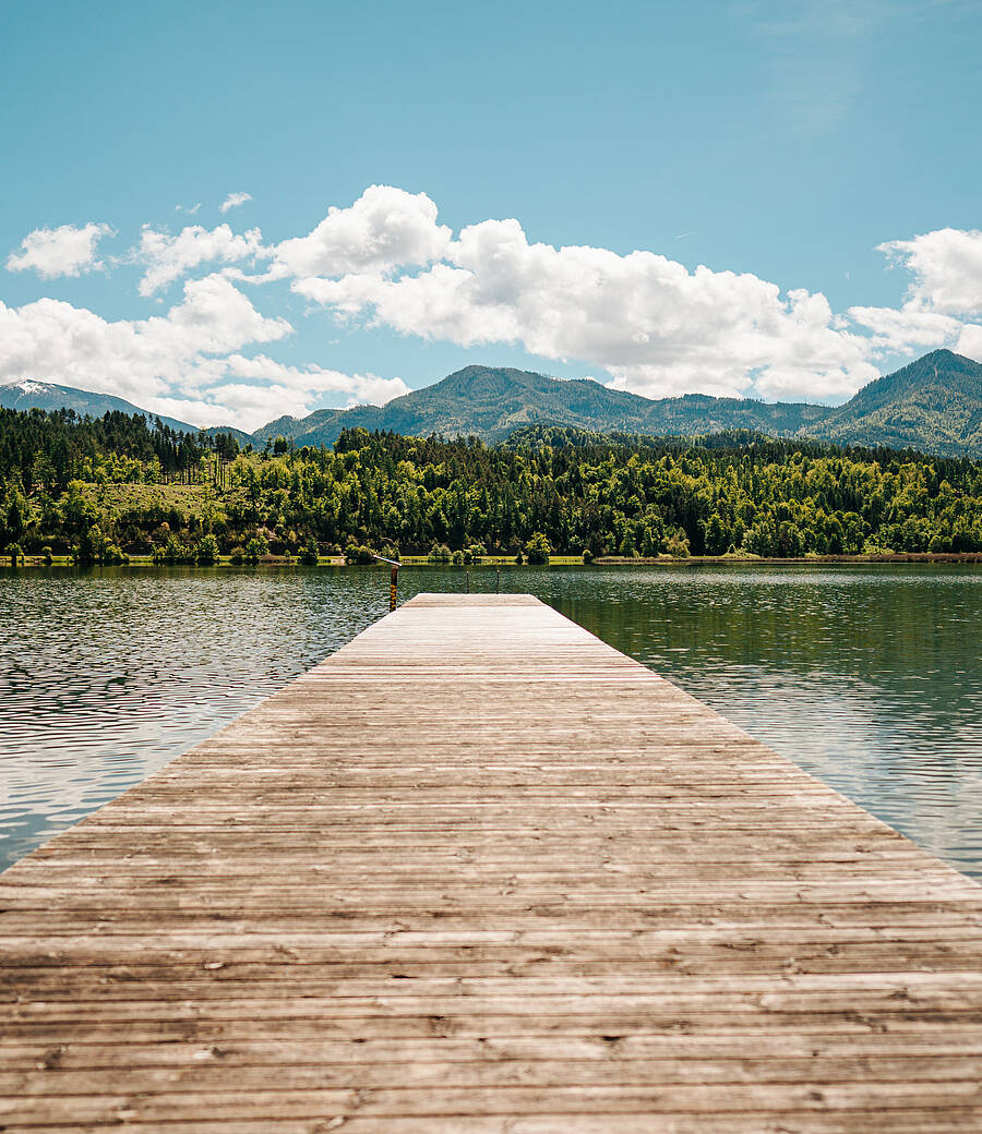 Ein Holzsteg führt in den Gösselsdorfer See, eingerahmt von klarem Wasser, bewaldeten Ufern und einer Bergkulisse unter blauem Himmel. Die Szene zeigt einen ruhigen Ort, ideal zum Durchatmen, Pausieren und den Blick über die Natur schweifen zu lassen.