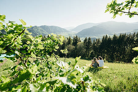 Kärnten Ambassador Frühling Edition