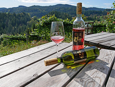 Weingut Lassnig