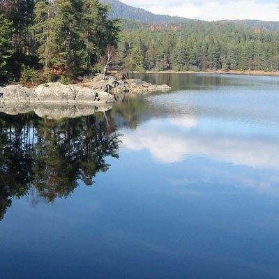 Forstsee