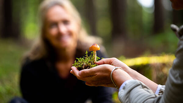 Der Gastgeber nimmt den Zuhörern durch den Wald mit und erklärt, wie das "Waldbaden" die Stresshormone senken und die Herzratenvariabilität erhöhen kann, indem man sich mit der Umgebung und der Atmung verbindet.